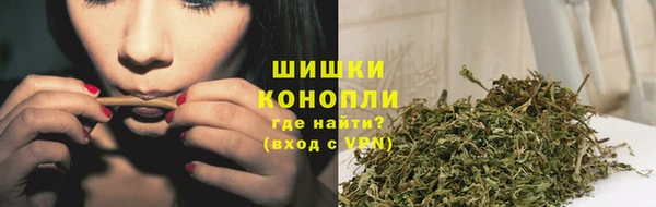 СК Тында