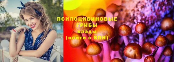 mdpv Киреевск