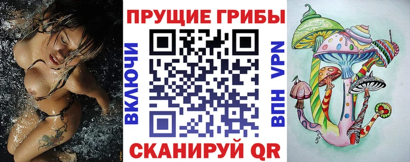 Галлюциногенные грибы MAGIC MUSHROOMS  Купить закладки  Дагестанские Огни 